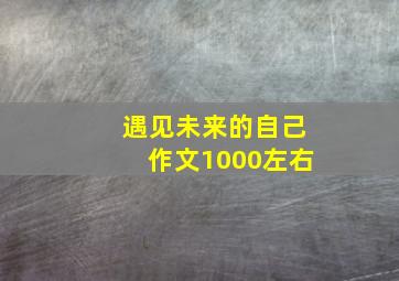 遇见未来的自己作文1000左右