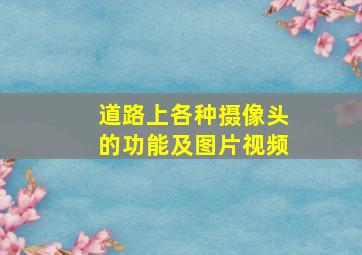 道路上各种摄像头的功能及图片视频