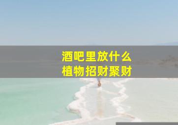 酒吧里放什么植物招财聚财