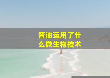 酱油运用了什么微生物技术