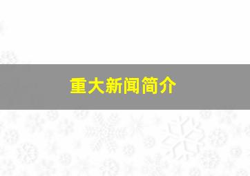 重大新闻简介