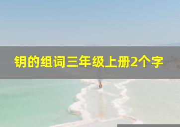 钥的组词三年级上册2个字