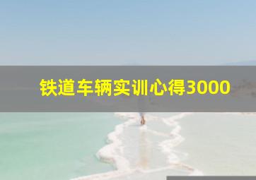 铁道车辆实训心得3000