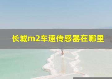 长城m2车速传感器在哪里