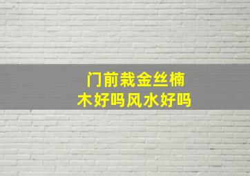 门前栽金丝楠木好吗风水好吗