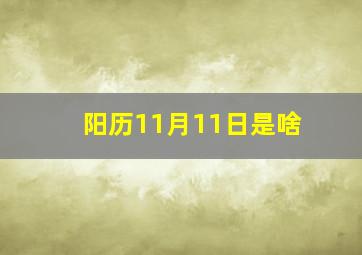 阳历11月11日是啥