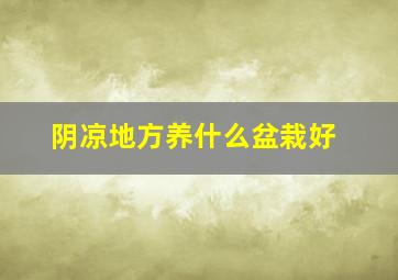 阴凉地方养什么盆栽好