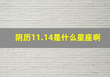 阴历11.14是什么星座啊