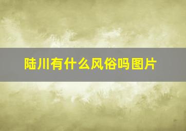 陆川有什么风俗吗图片