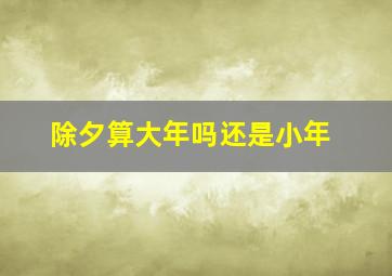 除夕算大年吗还是小年