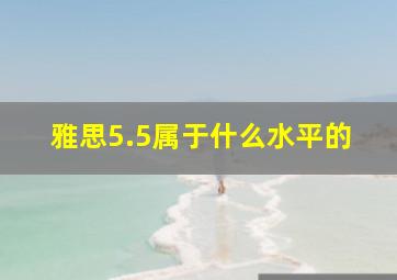 雅思5.5属于什么水平的