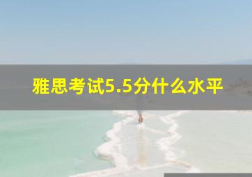 雅思考试5.5分什么水平