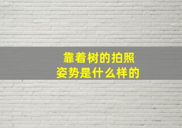 靠着树的拍照姿势是什么样的