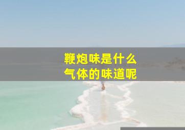 鞭炮味是什么气体的味道呢