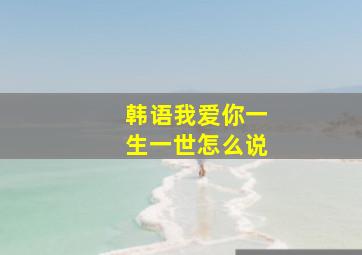 韩语我爱你一生一世怎么说