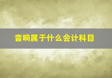 音响属于什么会计科目