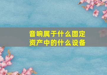 音响属于什么固定资产中的什么设备