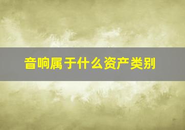 音响属于什么资产类别