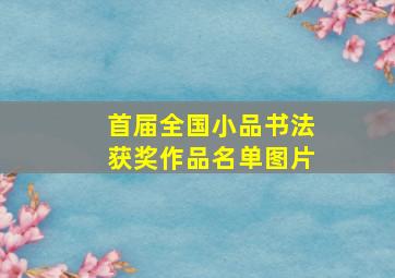 首届全国小品书法获奖作品名单图片