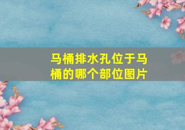 马桶排水孔位于马桶的哪个部位图片