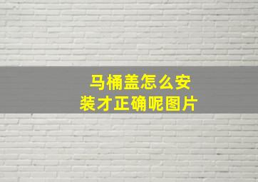 马桶盖怎么安装才正确呢图片