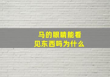 马的眼睛能看见东西吗为什么