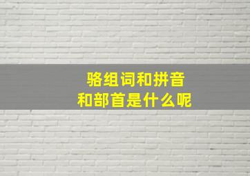 骆组词和拼音和部首是什么呢