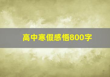 高中寒假感悟800字