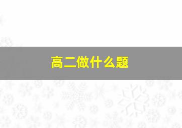 高二做什么题