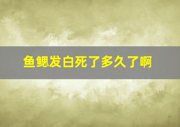 鱼鳃发白死了多久了啊