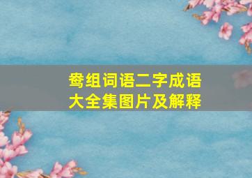 鸯组词语二字成语大全集图片及解释