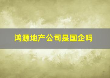 鸿源地产公司是国企吗