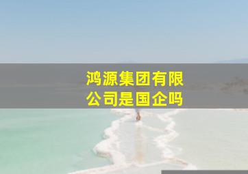 鸿源集团有限公司是国企吗