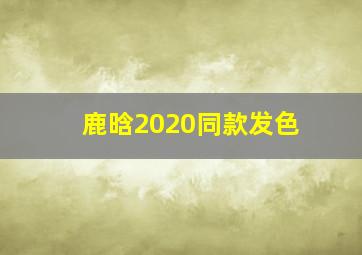 鹿晗2020同款发色