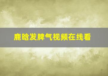 鹿晗发脾气视频在线看