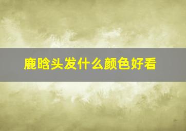 鹿晗头发什么颜色好看