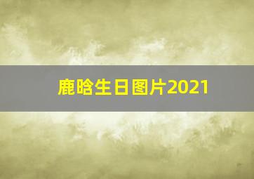 鹿晗生日图片2021