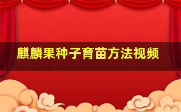 麒麟果种子育苗方法视频