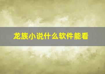 龙族小说什么软件能看