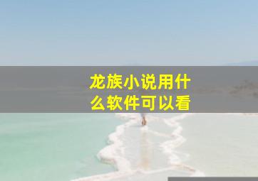 龙族小说用什么软件可以看