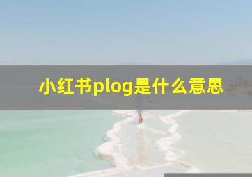 小红书plog是什么意思