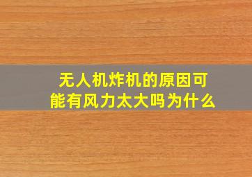 无人机炸机的原因可能有风力太大吗为什么