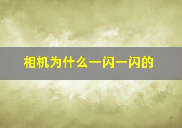 相机为什么一闪一闪的